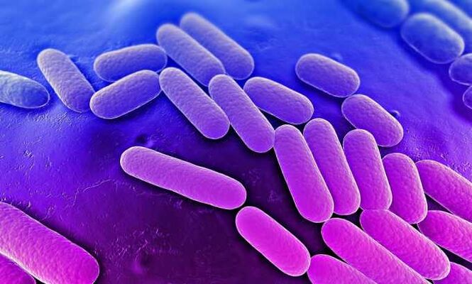 Os medicamentos deixan o crecemento das bacterias